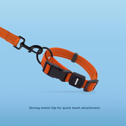 Voyager Reflective Dog Leash Collar Set with Neoprene Handle Supports Small, Medium, and Large Breed Puppies, Cute and Heavy Duty for Walking, Running, and Training - Orange, L