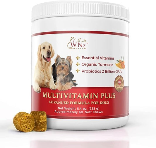 Dog Multivitamins and Supplements, Probiotics for Dogs w/Turmeric & Yucca, Probiotic Dog Chews for Brain Function, Gut & Immune Support, Joint Health & Anti-Inflammatory Supplement, 60 Chews, 8.4 oz