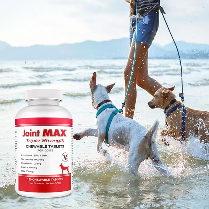 PHS Joint MAX Triple Strength (TS) Chewable Tablets for Dogs - Glucosamine, Chondroitin, MSM - Vitamins, and Antioxidants - Hip and Joint Pain Relief and Support Supplement - Made in USA - 120 Tablets