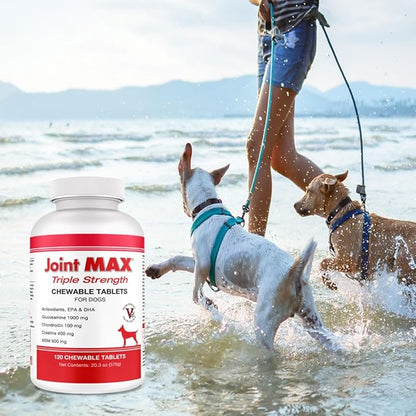 PHS Joint MAX Triple Strength (TS) Chewable Tablets for Dogs - Glucosamine, Chondroitin, MSM - Vitamins, and Antioxidants - Hip and Joint Pain Relief and Support Supplement - Made in USA - 120 Tablets