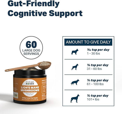 Lion's Mane - Organic Mushrooms Extract for Dogs | Hericenones & Erinacines | Supports Cognitive Health & Neurological Function - 60-Day Large Dog Supply