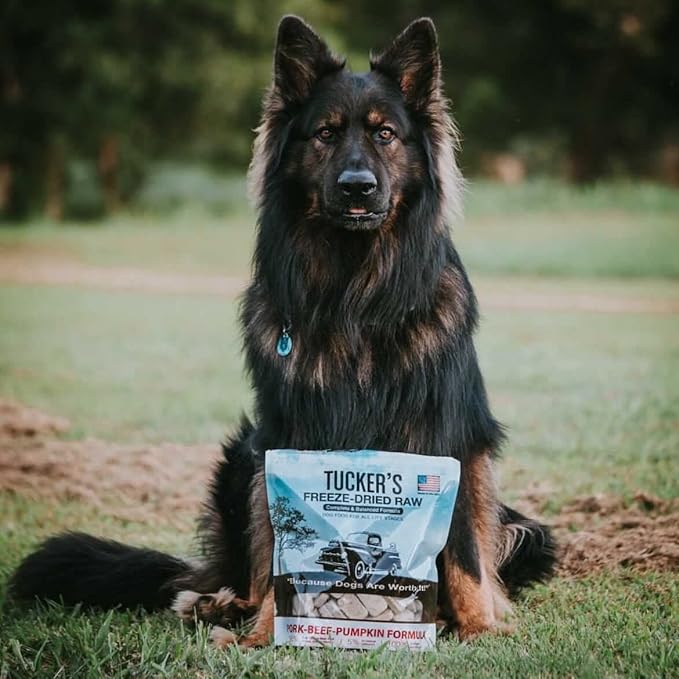 Tucker's Raw Frozen Freeze Dried Raw Dog Food, Pork, Beef & Pumpkin Formula 14oz