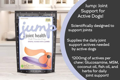 In Clover Jump Soft Chews for Daily Joint Care and Endurance Support for Dogs with Glucosamine HCl, MSM, Fish Oil, Ginger, Yucca, and Coconut Oil for All Life Stages, 5.3 oz. (30 count)