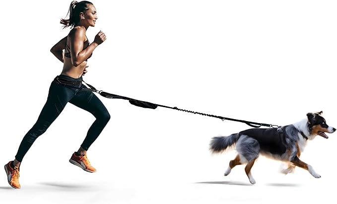 Dog Running Waist Belt - Running Dog Lead - Canicross Harness Carry Personal Items Running, Walks, Hikes - Waist Leads for Dogs with Belt Pouch, Converts into Canicrossing Line - Emerald Blue
