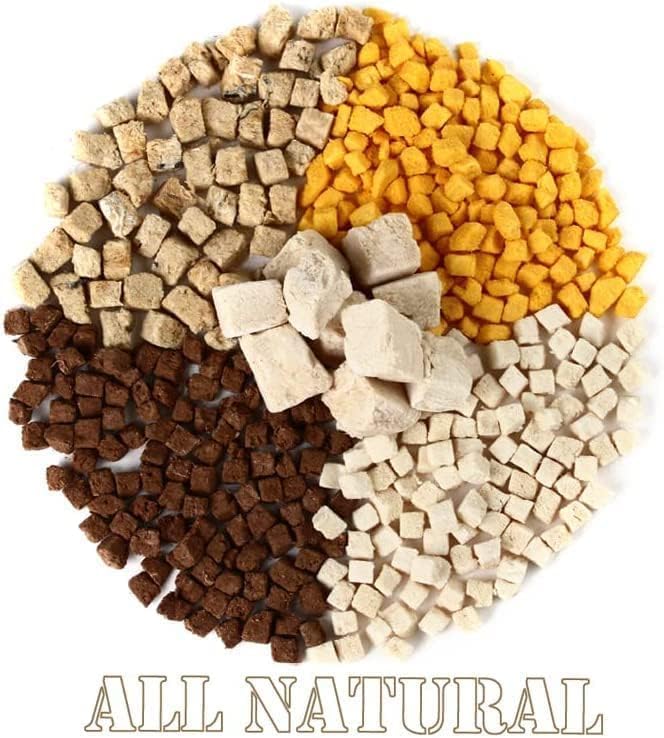 Fully Natural Organic Freeze Dried Dog/Cat Treats Food Toppers Single Ingredient, USA Made, Healthy, High Value, Gluten Grain Free, High Protein, Diabetic Friendly (1, Salmon)