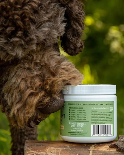 ASHER HOUSE WELLNESS | Hip and Joint Soft Chew Supplement for Dogs | All Natural | 120 Chews | Glucosamine | Condroitin
