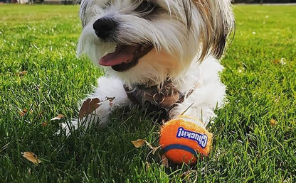 Chuckit Dog Tennis Ball Dog Toy, Small (2 Inch Diameter) for dogs 0-20 lbs, Pack of 2