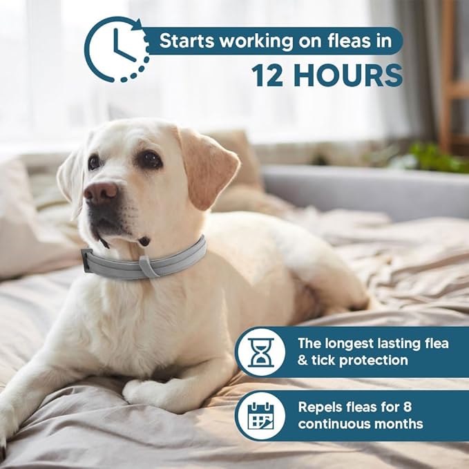 Dog Flea Tick Collar, Flea & Tick Prevention for Dogs, 8 Months Protection Dog Flea Collar, Adjustable Collar Fits Large Dogs & Puppies, Flea Treatment Collar for Dogs 2 Pack