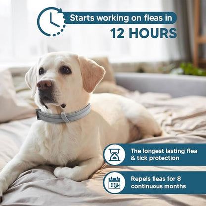 Dog Flea Tick Collar, Flea & Tick Prevention for Dogs, 8 Months Protection Dog Flea Collar, Adjustable Collar Fits Large Dogs & Puppies, Flea Treatment Collar for Dogs 2 Pack