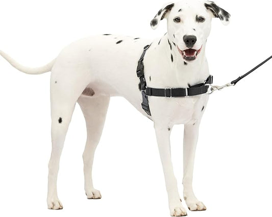 PetSafe Easy Walk No-Pull Dog Harness - The Ultimate Harness to Help Stop Pulling - Take Control & Teach Better Leash Manners - Helps Prevent Pets Pulling on Walks - Medium/Large, Charcoal/Black