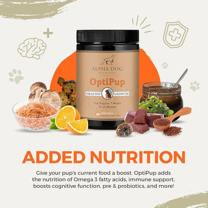 OptiPup All-in-1 Puppy Multivitamin by Alpha Dog Nutrition – Contains 31 Superfoods including Probiotics and Prebiotics for Digestive Support, Skin & Immune Health, and Optimum Growth (30 Servings)