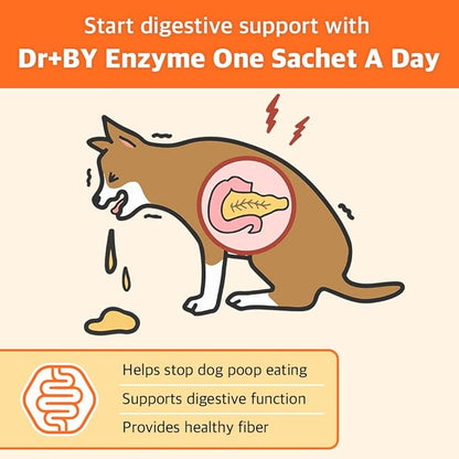 Enzyme for Dogs Digestive Enzyme Supplements for Dogs with Protease, Amylase, Lipase - Promotes Digestion and Improves Nutrient Absorption - 30 Individually Packaged (1 Pack)
