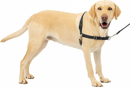 PetSafe Easy Walk No-Pull Dog Harness - The Ultimate Harness to Help Stop Pulling - Take Control & Teach Better Leash Manners - Helps Prevent Pets Pulling on Walks - Large, Black/Silver