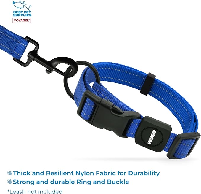 Best Pet Supplies Reflective Dog Collar with Adjustable Length, Heavy-Duty Buckle, and Strong Leash D-Ring, Training, Walking, Jogging Accessory for Small, Medium, and Large Breeds - Royal Blue, S