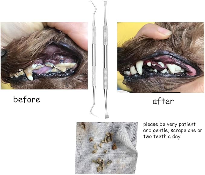 Dog Tooth Scaler and Scraper - 2 Pack Upgrade Pet Tarter Remover with Different Angles Double Head, Stainless Steel Teeth Cleaning Tools for Dogs