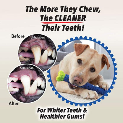 BulbHead Chewbrush Toothbrush Dog Toothbrush and Dog Toy - No Dog Toothpaste Required - Great Dog Teeth Cleaning Toys (1 Pack)