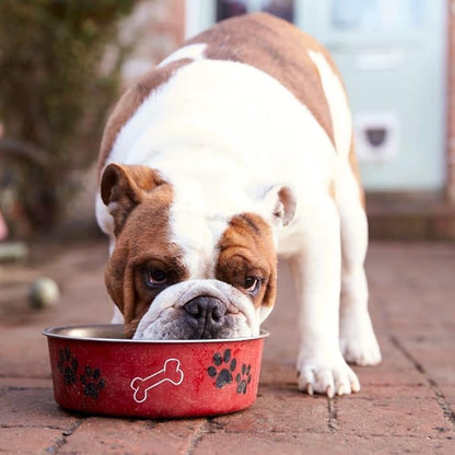 Wellness CORE Bowl Boosters Freeze-Dried Mixer Topper for Dogs - Single Protein Superfoods - Beef (4 Ounces) - Plus Rope Toy and Fun Animal Facts Booklet Bundle