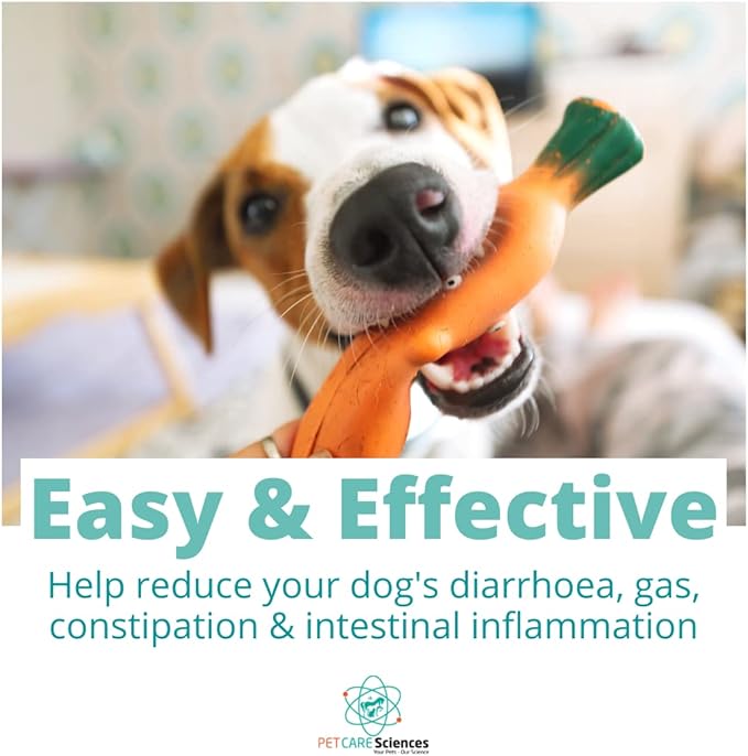 Approx 120 Servings of Dog Probiotic Powder - Dog Probiotics and Digestive Enzymes - Enzyme Supplement for Dogs - Dog Digestive Support - Made in The USA