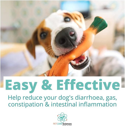 Approx 120 Servings of Dog Probiotic Powder - Dog Probiotics and Digestive Enzymes - Enzyme Supplement for Dogs - Dog Digestive Support - Made in The USA