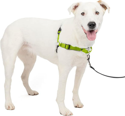 PetSafe Easy Walk Deluxe Dog Harness, No Pull Dog Harness – Perfect for Leash & Harness Training – Stops Pets from Pulling and Choking on Walks – Medium/Large, Apple