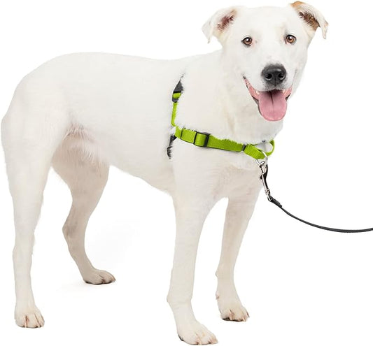 PetSafe Easy Walk Deluxe Dog Harness, No Pull Dog Harness – Perfect for Leash & Harness Training – Stops Pets from Pulling and Choking on Walks – Medium/Large, Apple