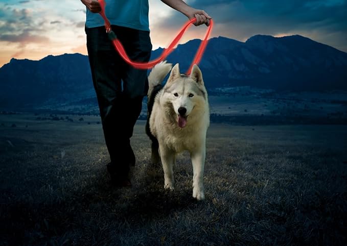 Nite Ize NiteDog Rechargeable LED Leash - Rechargeable LED Light Dog Leash with Padded Handle - Dog Walking Accessories for Walking & Running - 5 Feet, Red