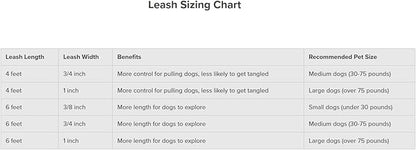 PetSafe Nylon Dog Leash - Strong, Durable, Traditional Style Leash with Easy to Use Bolt Snap - 3/4 in. x 4 ft., Red