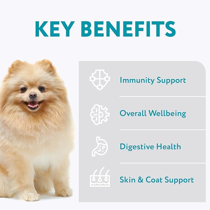 OPtimeal Dry Dog Food for Toy Breeds - Premium Dry Recipe for Adult Small and Toy Breed Dogs - Skin and Digestive Support (1.4 lb, Salmon & Brown Rice)