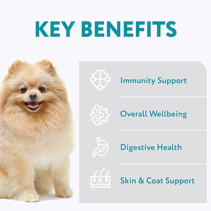OPtimeal Dry Dog Food for Toy Breeds - Premium Dry Recipe for Adult Small and Toy Breed Dogs - Skin and Digestive Support (1.4 lb, Salmon & Brown Rice)