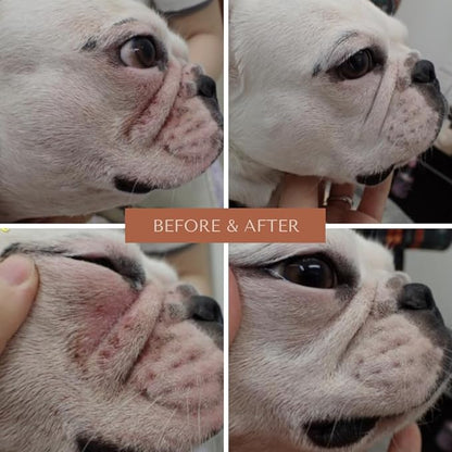 Wrinkle Rub | Bulldog, French Bulldog, Pug, English Bulldog | Cleans & Soothes Wrinkles, Folds, Tear Stain, Tail Pockets & Paws, Anti-Itch Paste Wipes