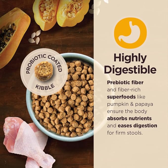 Wellness CORE Digestive Health Dry Puppy Food with Wholesome Grains, Highly Digestible, for Dogs with Sensitive Stomachs, Made in USA with Real Chicken (Puppy Under 1 Year, 4-Pound Bag)