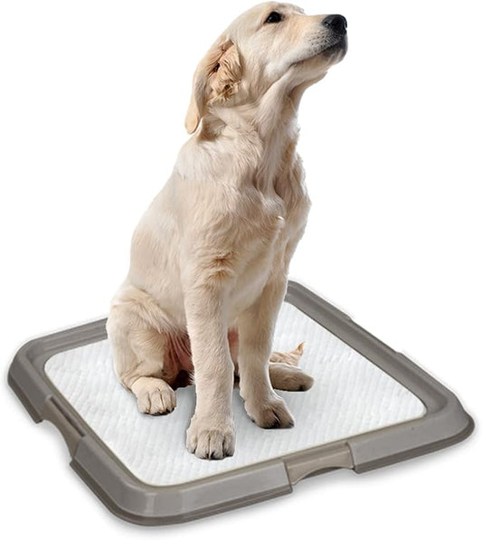 PAWISE Puppy Pads/Dog Pads Holder,Pee Pad Holder,Puppy Pad Holder,Dog Potty Tray for Dog Training for Puppies,Dogs & Cats 23.6 x 23.6 inch