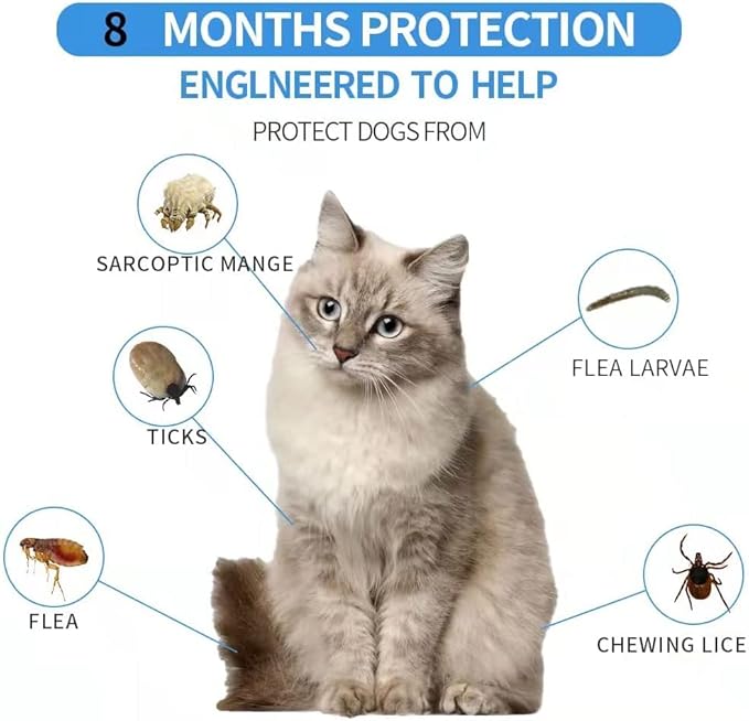 Flea Collar for Cats, Flea and Tick Collars for Cats and Kittens, 8 Month Protection, Gray, 1 PACK CAT