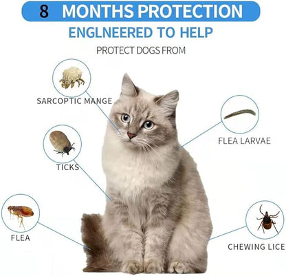 Flea Collar for Cats, Flea and Tick Collars for Cats and Kittens, 8 Month Protection, Gray, 1 PACK CAT