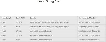 PetSafe Nylon Dog Leash - Strong, Durable, Traditional Style Leash with Easy to Use Bolt Snap - 1 in. x 6 ft., Red