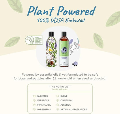 kin+kind Flea and Tick Shampoo for Dogs Vet Formulated - Plant Powered, Safe and Effective Dog Shampoo with Coconut and Olive Oil - Lavender Scent - Prevent Fleas and Ticks - Made in USA 12 fl oz