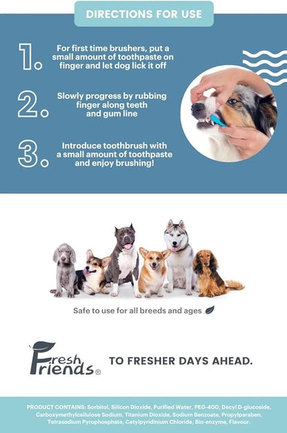 FRESH FRIENDS Enzymatic Dog Tooth Brushing Kit | Dog Toothbrush and Toothpaste | Puppy Tooth Brushing Kit | Dog Teeth Cleaning Kit | Improves Gum Health | Dog Dental Kit (Beef Flavor)