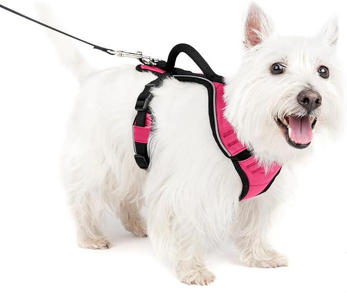 PetSafe EasySport Dog Harness – Adjustable Padded Dog Harness with Control Handle and Reflective Piping – Small, Pink