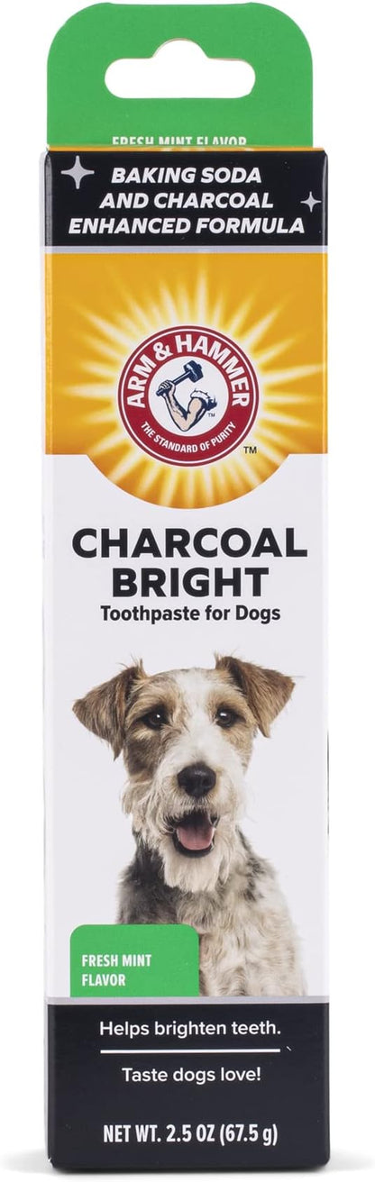 Arm & Hammer Charcoal Bright Toothpaste for Dogs, Charcoal | Pet-Safe, Natural Dog Toothpaste & Breath Freshener with Charcoal & Enzymes | 2.5oz Canine Teeth Cleaning Paste Arm & Hammer