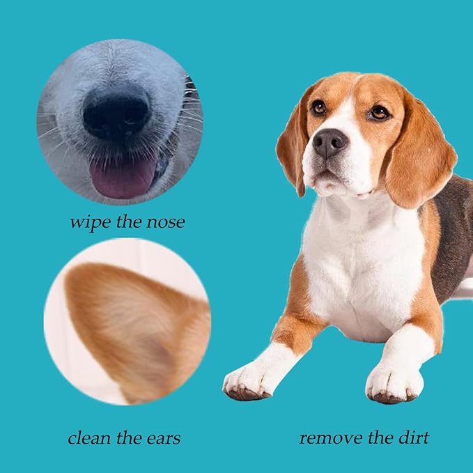 6 Inch Long Cotton Swabs,Large Cotton Buds with Bamboo Handle for Dogs 500pcs