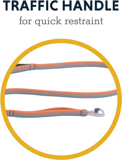 Ruffwear, Front Range Dog Leash, 5 ft Lead with Padded Handle for Everyday Walking, Spring Fade