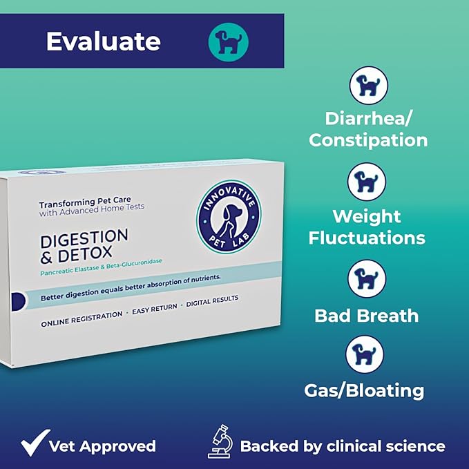 Digestion & Detox At-Home Test Kit - Expert Panel Insights for Dog's Microbiome and Digestive Health - Essential Pet Supply for Overall Wellness