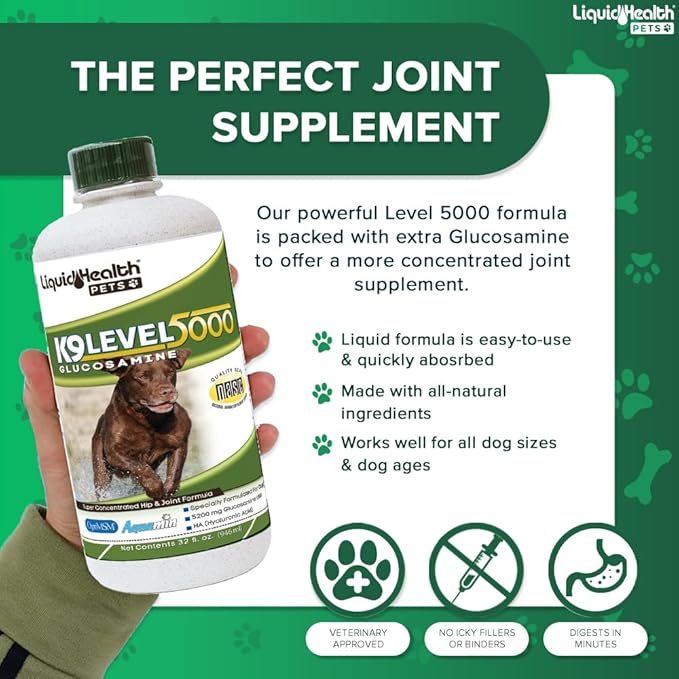LIQUIDHEALTH 32 Oz K9 Liquid Glucosamine for Dogs Level 5000 with Glucosamine Chondroitin, Dogs MSM, Boswellia Serrata – Dog Hip and Joint Health, Dog Vitamins for Dog Joint Pain, Dog Joint Oil