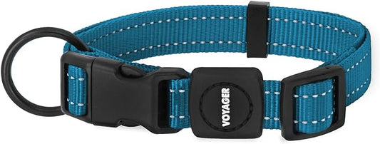 Best Pet Supplies Reflective Dog Collar with Adjustable Length, Heavy-Duty Buckle, and Strong Leash D-Ring, Training, Walking, Jogging Accessory for Small, Medium, and Large Breeds - Turquoise, L