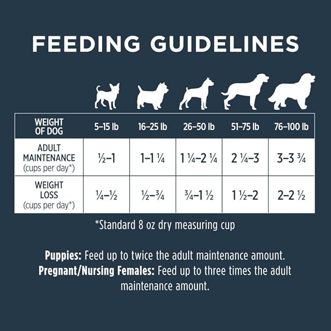 Instinct Raw Boost Grain Free Dry Dog Food, High Protein Real Chicken Kibble + Freeze Dried Raw Dog Food, 21 lb. Bag