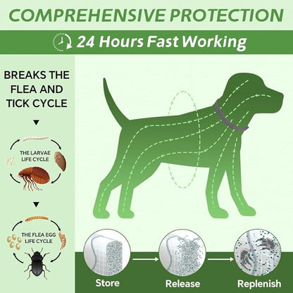 4 Pack Flea Collar for Dogs, Natural Flea and Tick Collar for Dogs, 8-Month Flea and Tick Prevention for Dogs, Dog Flea & Tick Control, Water Resistant Dog Flea Collar for Dogs Puppies, Gray