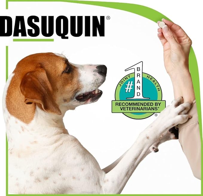 Nutramax Dasuquin Joint Health Supplement for Large Dogs - With Glucosamine, Chondroitin, ASU, Boswellia Serrata Extract, Green Tea Extract, 150 Chewable Tablets