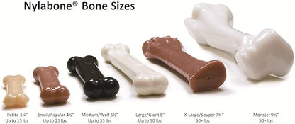 Nylabone (5 Pack) FlexiChew Chicken Flavored Bone Dog Chew Toys - Size Regular