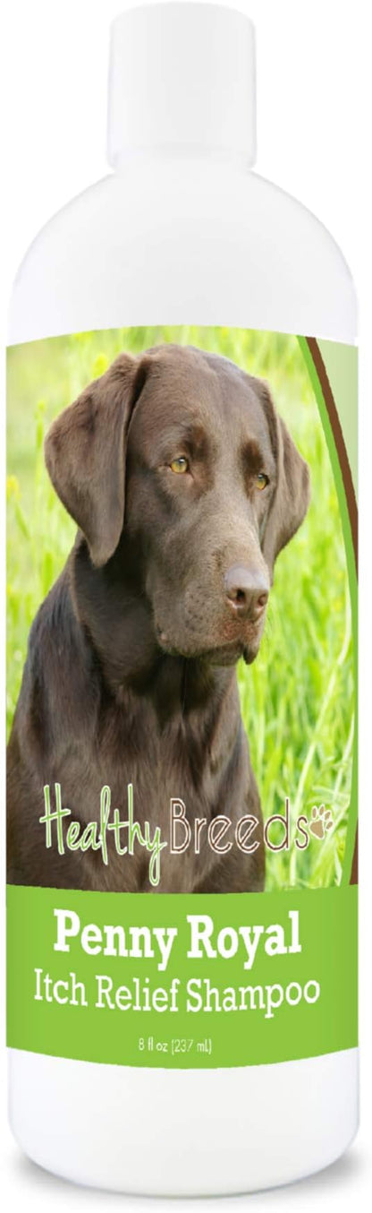 Healthy Breeds Labrador Retriever Penny Royal Itch Relief Shampoo - Stop The Scratching & Relieve The Itch with Essential Oils of Eucalyptus & Cedarwood - Mint Scent - 8 oz
