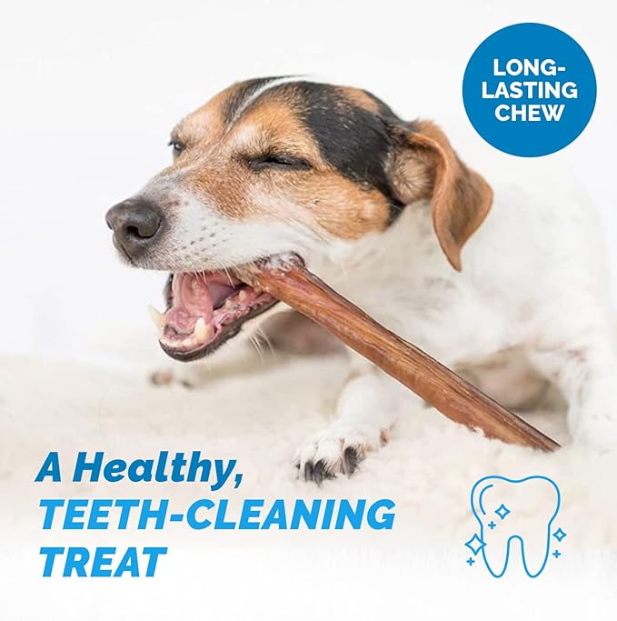 12 Inch Bully Stick for Dogs (1 Pound Bag) 100% Natural Bulk Chews for Dogs & Puppies - Beef Sticks for Small, Medium and Large Dogs